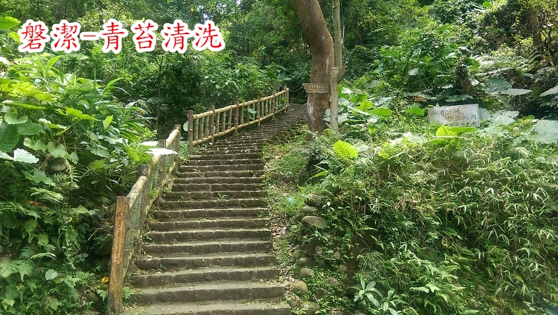 磐潔-登山步道-青苔清洗